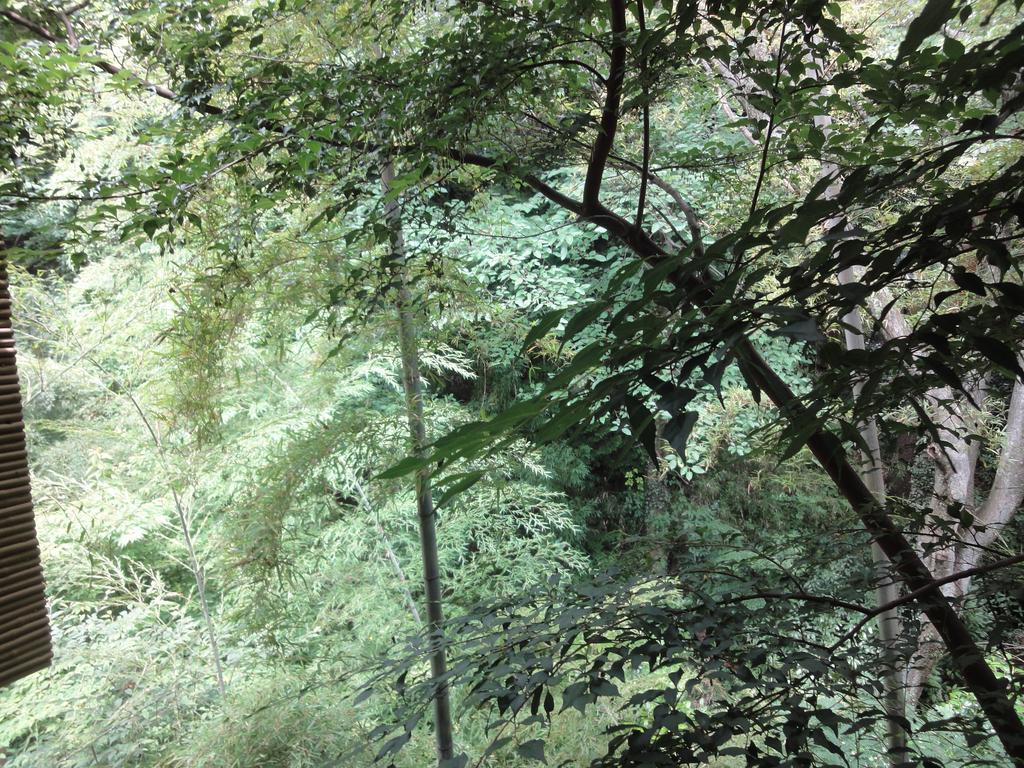 Ryokan Kiritani Hakoneso Ngoại thất bức ảnh